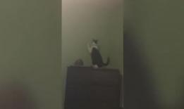 搞笑超短视频10秒,短视频带你秒回童年